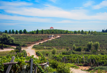 I4QZRMO5H6113VUFT8CC48